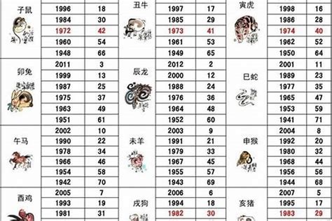 10年属什么